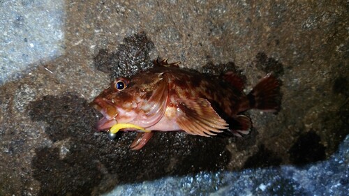 日和山浜海水浴場