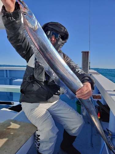 タチウオの釣果