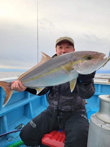 カンパチの釣果