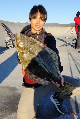 ヒラメの釣果