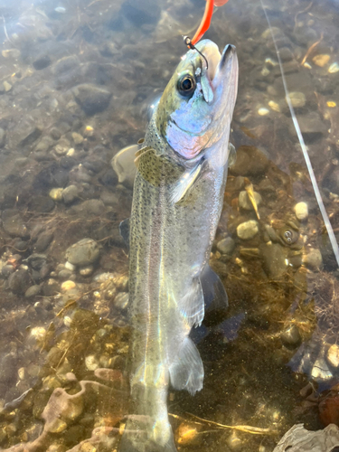 浜名湖フィッシングリゾート