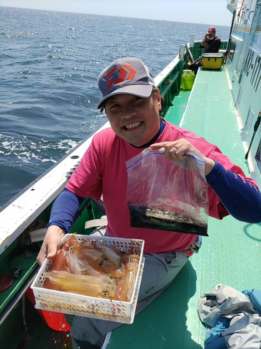 マルイカの釣果