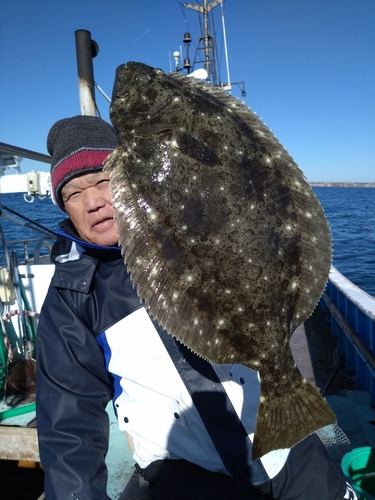 ヒラメの釣果