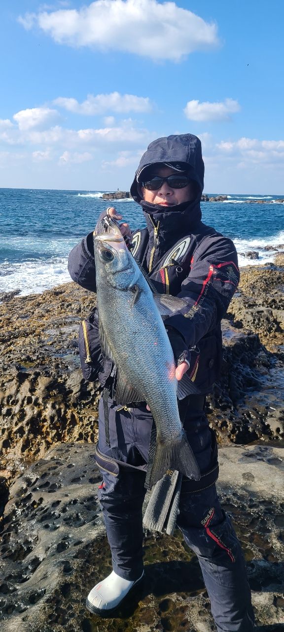 セノーさんの釣果 2枚目の画像