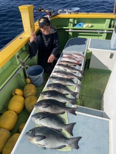 マダイの釣果