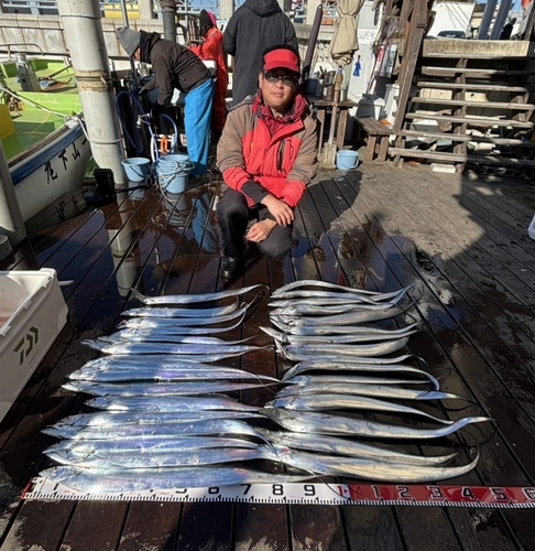 タチウオの釣果