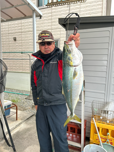 ハマチの釣果