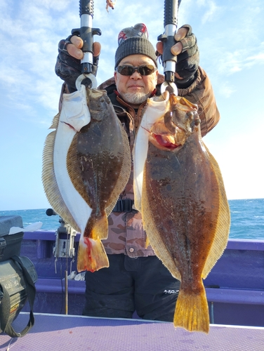 ヒラメの釣果