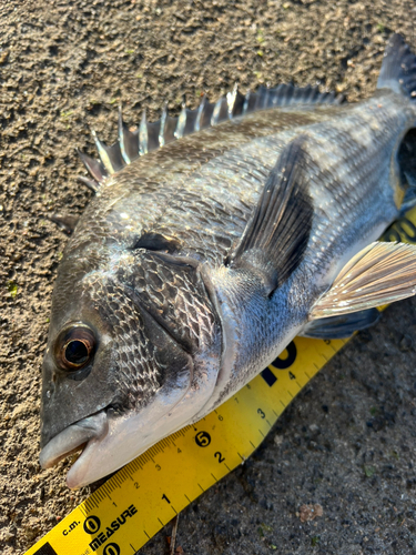 表浜名湖