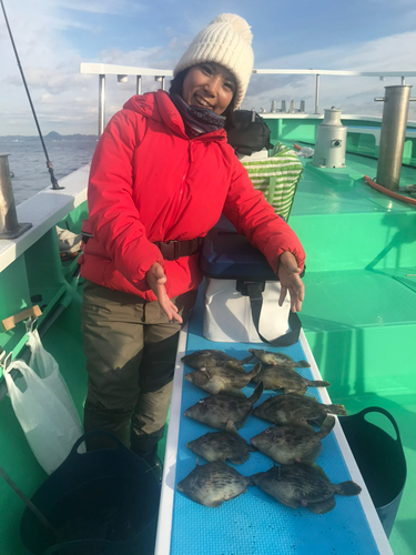 カワハギの釣果