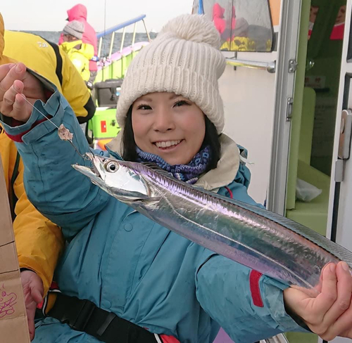 タチウオの釣果