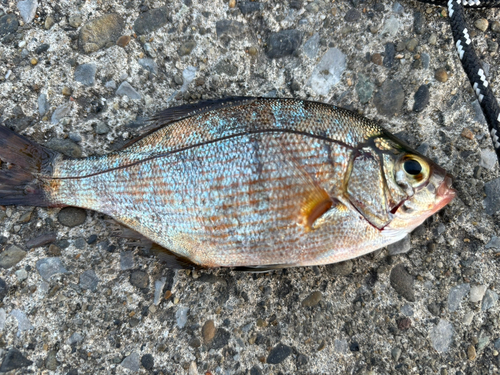 海辺つり公園