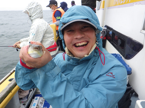 ショウサイフグの釣果