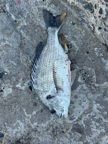 牛窓海水浴場