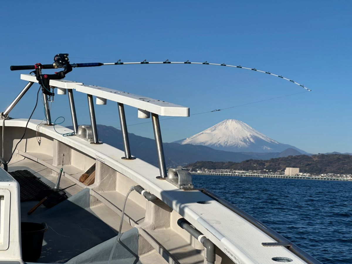 釣りキッチさんの釣果 2枚目の画像