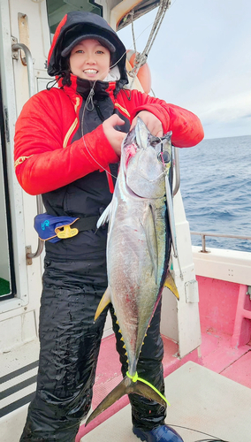 キハダマグロの釣果