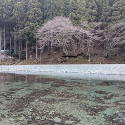 ロックトラウト