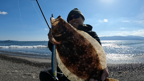 ヒラメの釣果