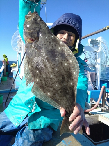 ヒラメの釣果