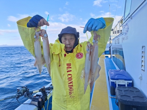 ヤリイカの釣果