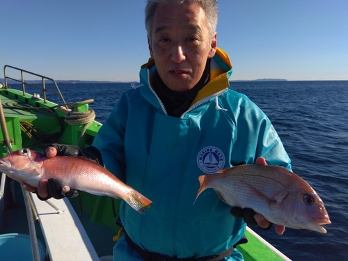 アマダイの釣果