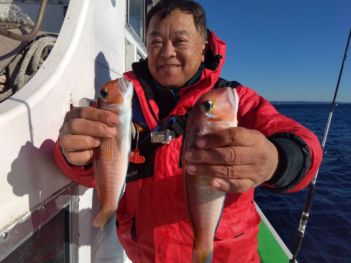 せどおと丸さんの釣果 2枚目の画像