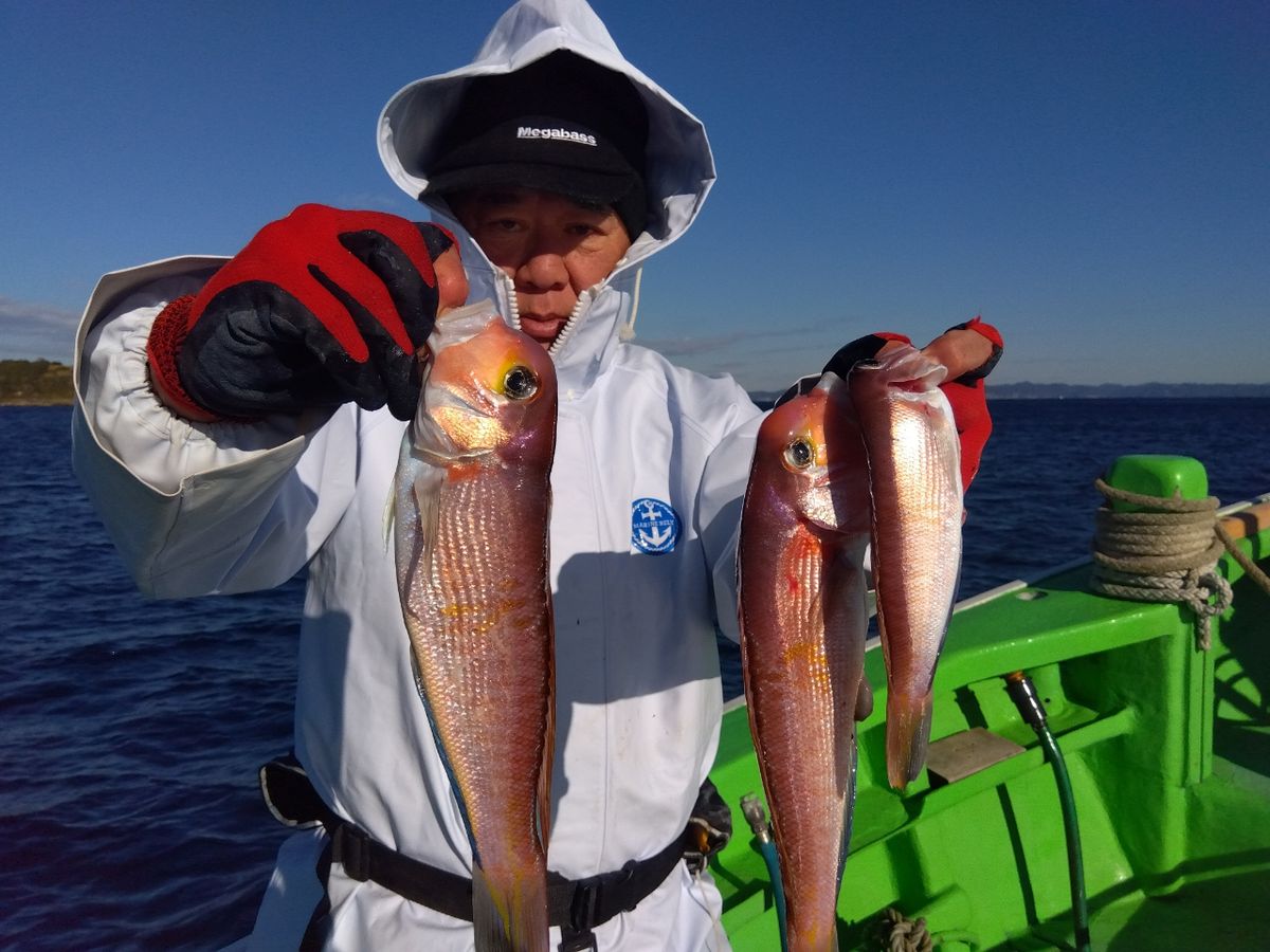 せどおと丸さんの釣果 3枚目の画像