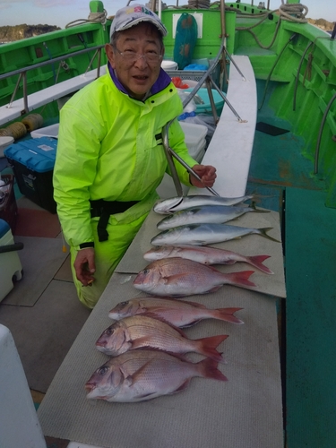 マダイの釣果