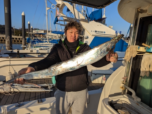 タチウオの釣果