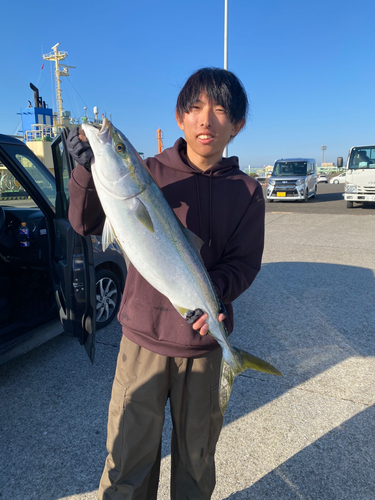 ブリの釣果