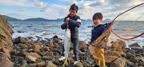 ブリの釣果