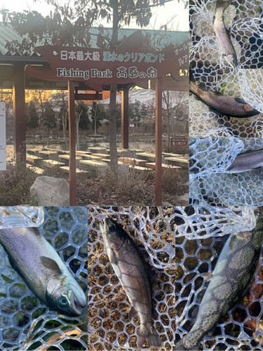 ニジマスの釣果