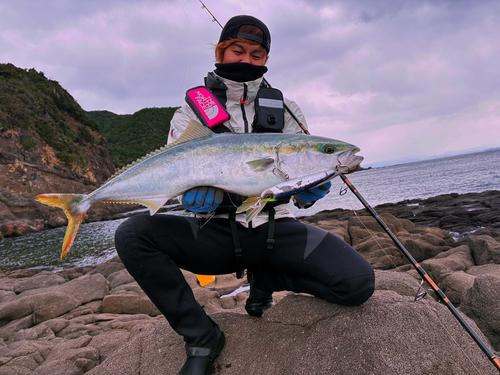 ブリの釣果