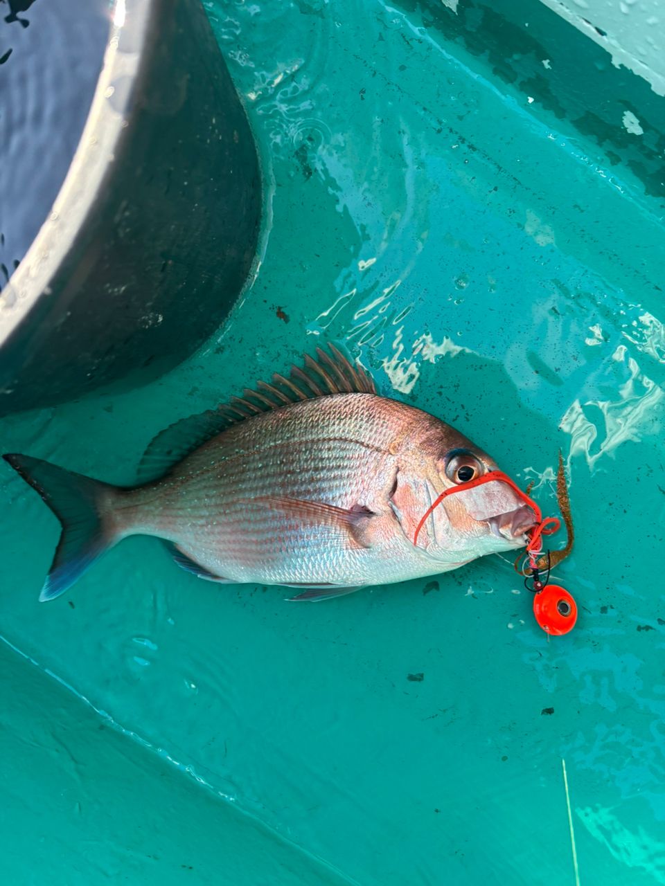 炎の沖釣り師さんの釣果 2枚目の画像