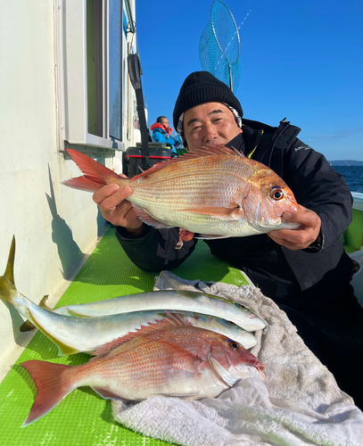 マダイの釣果