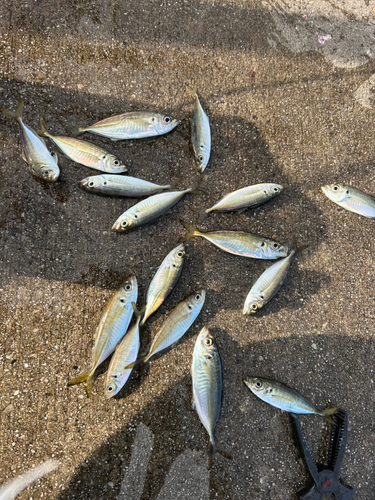 東扇島西公園