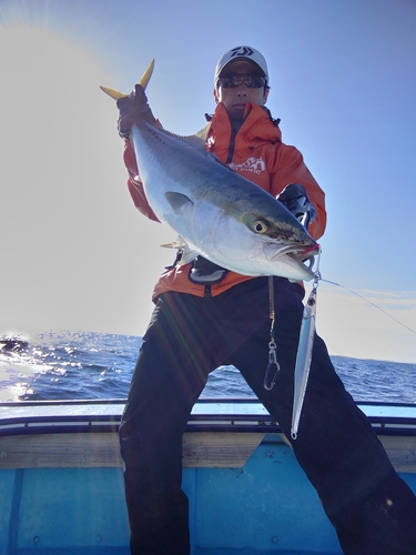 メジロの釣果