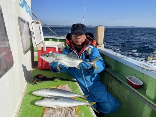 イナダの釣果