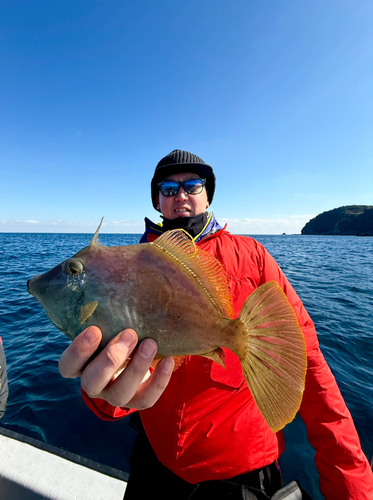 カワハギの釣果