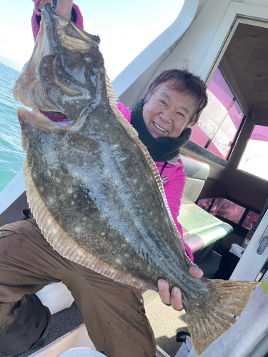 ヒラメの釣果