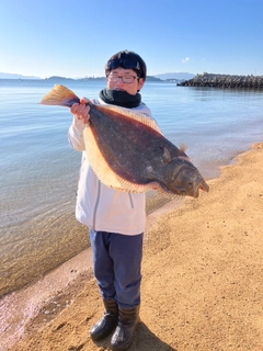 ヒラメの釣果