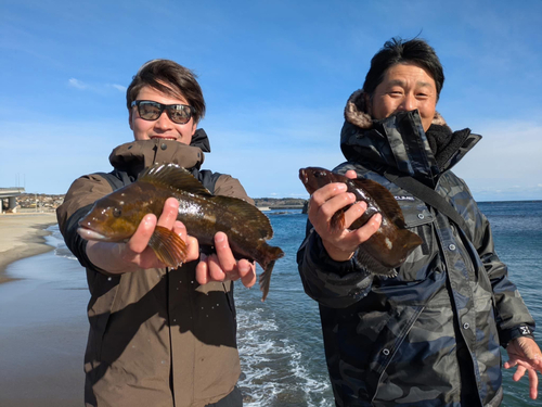 アイナメの釣果