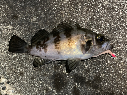 松ヶ浜漁港