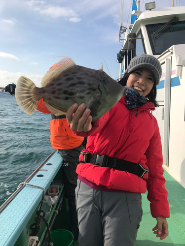 ショウサイフグの釣果