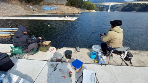 ワカサギの釣果