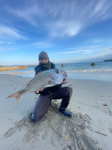 タイの釣果