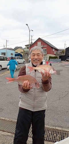 ハナダイの釣果