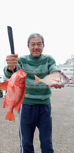 チカメキントキの釣果