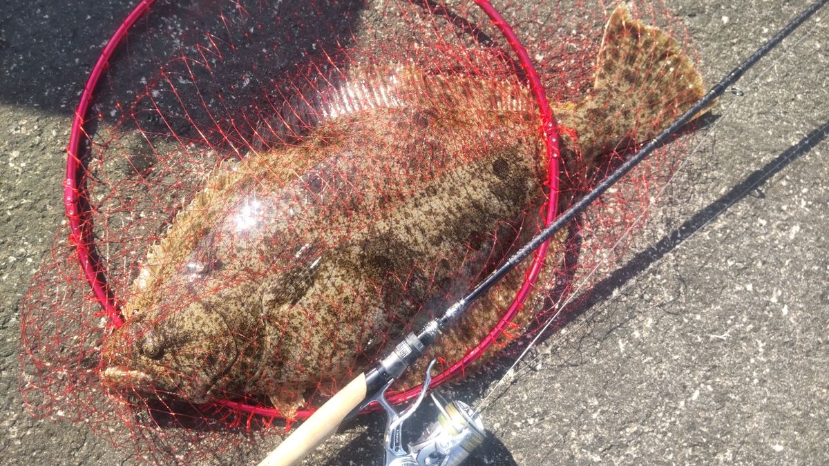 まっくす　さんの釣果 2枚目の画像