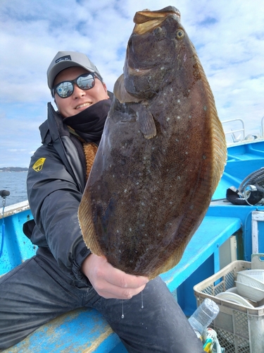 ヒラメの釣果